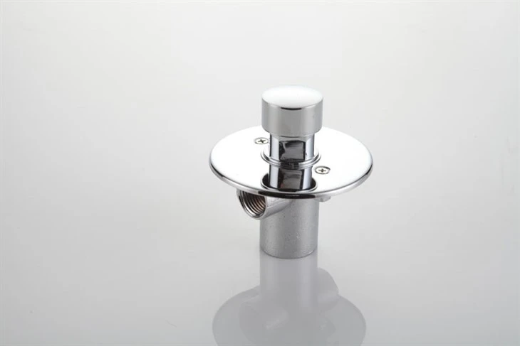 Time Delay Shower Valve